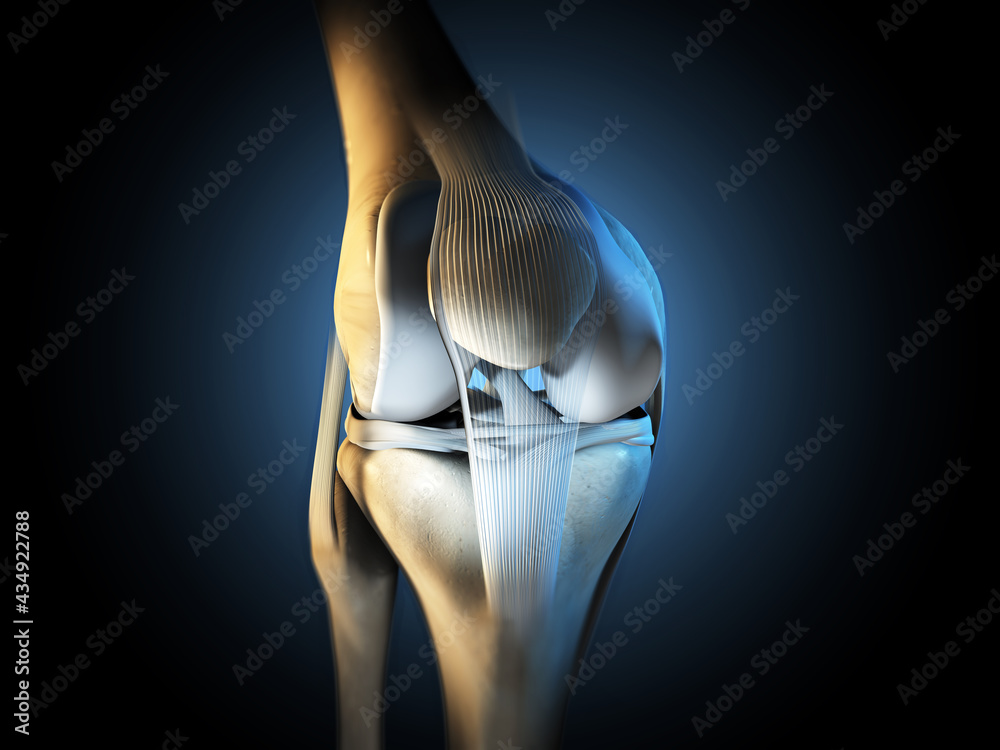 Salute delle articolazioni